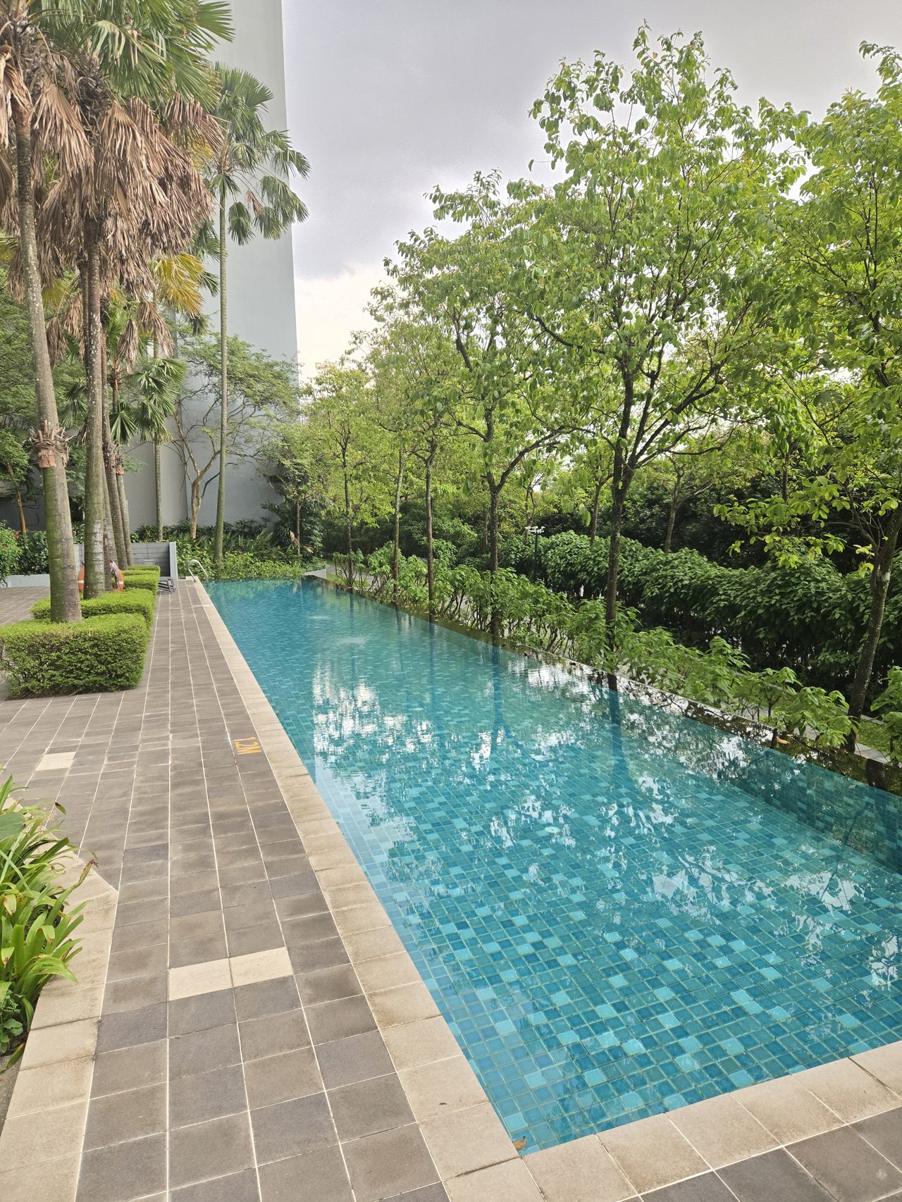 Garden Pool